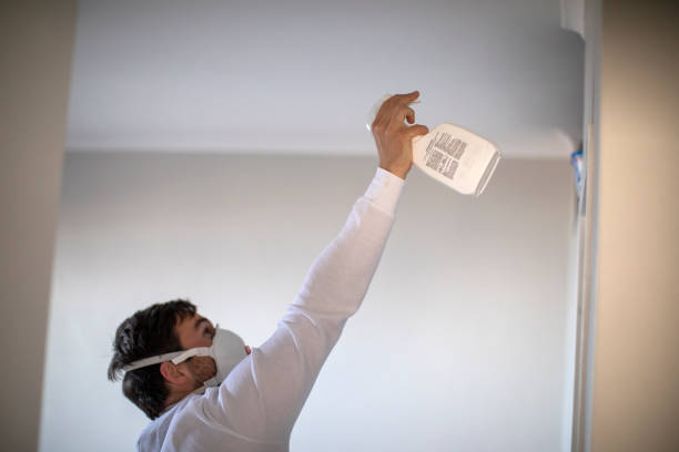 Best Commercial Mold Remediation in Xenia, OH